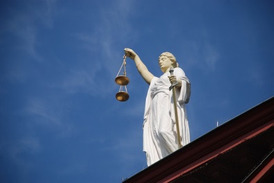 Judicial review image